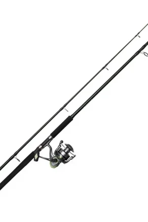 Quantité Limitée Ensemble DAM Full Cat XP Spin 2m40 40-150g