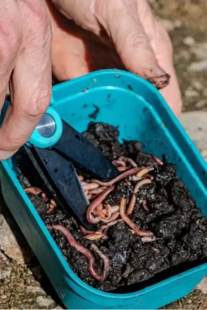 Ciseaux à vers Rive Commande En Gros