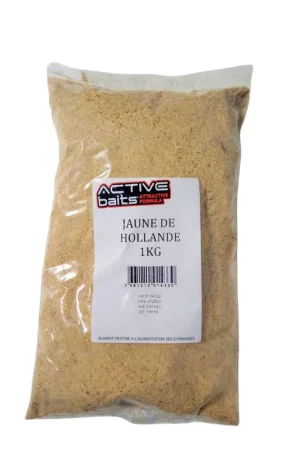 Top Vente Jaune de Hollande Teos