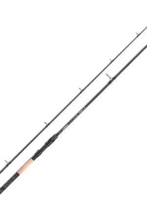 Expédition Rapide Canne Skeater Chaser DB Pike & Zander 11' 2.75lbs