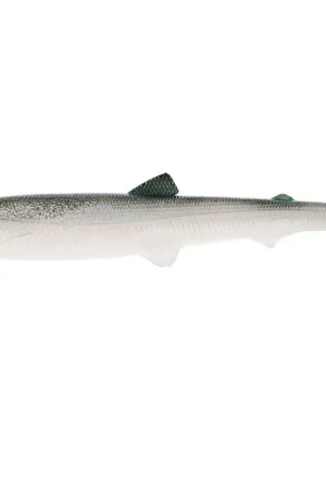 Usine Directe Leurre Souple Shad Westin Bullteez Shadtail 18cm