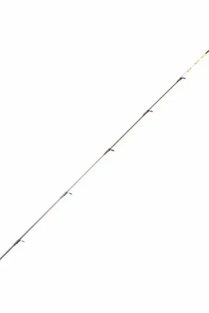 Scion Carbone Pour R Feeder Master 2,5oz Offre Exclusive