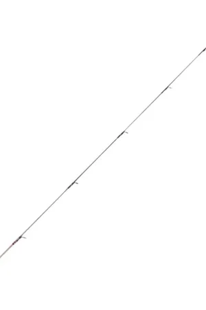 Achat Immédiat R-FEEDER - SCION CARBONE 1.00 OZ