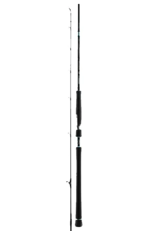 Populaire Canne Favorite SX10 Offshore 40-120g