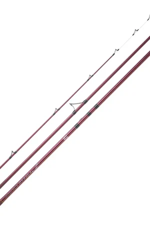 Meilleur Choix Canne prime caster slim Daiwa 4,25m 560g