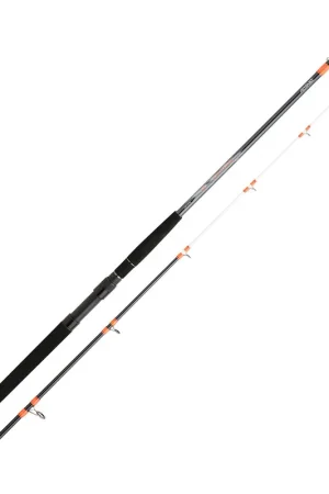 Prix Promo Canne Bateau Daiwa Megaforce Boat 24H 2.40m, 100-300g