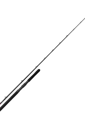 Top Vente Canne Shimano Vengeance BX Boat Slim 20-30 LB