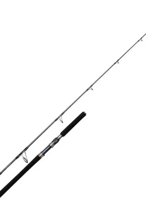 Seulement Aujourd'hui Canne Berkley Battalion Solid Offshore Casting Rod 2m28 30-180g