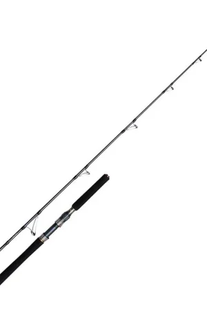 Canne Penn Battalion Solid Bait Boat Rod 1m98 Dernier Modèle