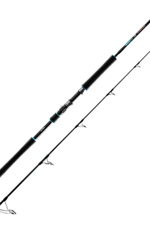 Expédié Aujourd'hui Canne Spinning Favorite Sx1 2.44m