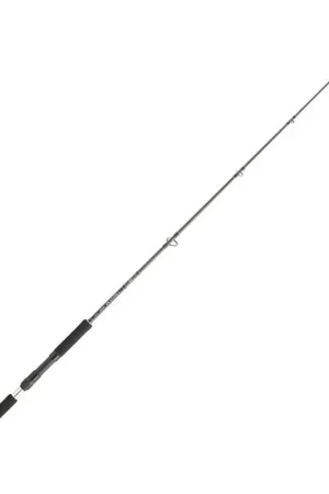 Pas Cher Canne Spinning Daiwa Legalis Jigging 1.98m