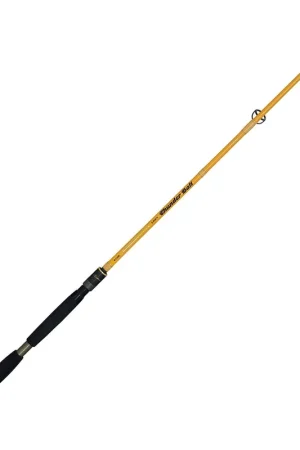 Bon Plan Canne Spinning Illex Element Rider THUNDER BOLT 2.15m 15-60g