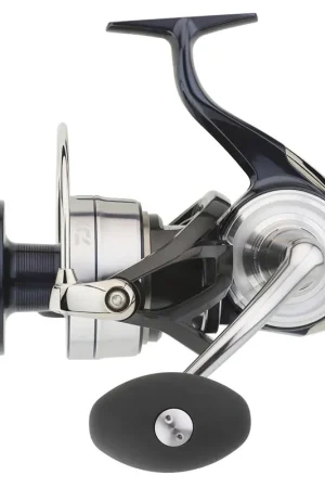 Prix Bas Moulinet Daiwa Certate SW G 2021 8000 H