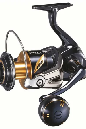 Moulinet Spinning Shimano Stella SW-C 6000HG Rapide Expédition Rapide