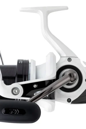 Petit Prix Moulinet daiwa shorecast surf 5000a