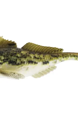 Westin Gunnar The Goby Shad 8cm (2 Pièces) Spotted Goby Commander Maintenant