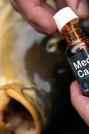 Désinfectant Pro Elite Baits Medicarp (30ml) Seulement Aujourd'hui