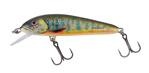 Salmo Minnow 6cm 4gr Floating 0,5-1m Bon Plan