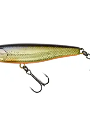 Dernier Modèle Leurre de Surface Jackall Bonnie 65 6.5cm (4.3g)