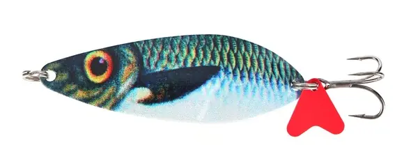 Prix Choc Cuillère Fish4All Seducer (40g)
