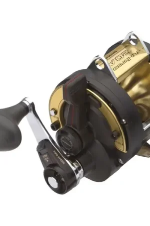 Remise Moulinet Mer Shimano TLD II A 2-Speed RH