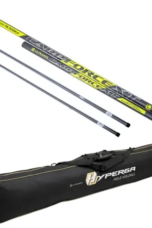 Expédié Aujourd'hui Ensemble Canne Coup Complet Ultimate Carpforce XT