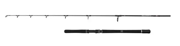 Canne Bateau Penn Squadron IV Jig 6'6ft/2.04m Bon Plan