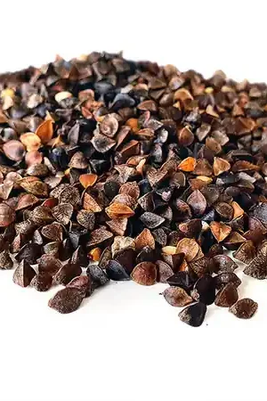 Sarrasin Tijgernotenkopen (2.5kg) Remise