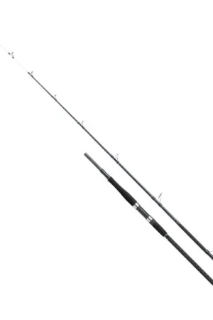 Bon Marché Canne bateau Shakespeare Salt XT Uptide 2.90m (150-300g)