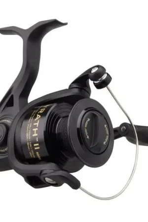 Moulinet spinning Penn Wrath II Petit Prix