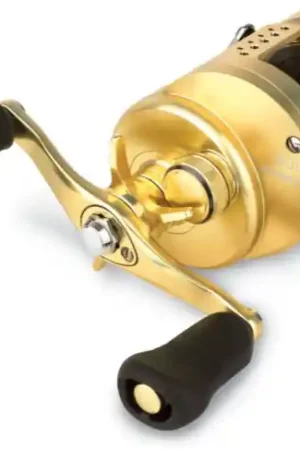 Shimano Calcutta Conquest Reel LH Authentique