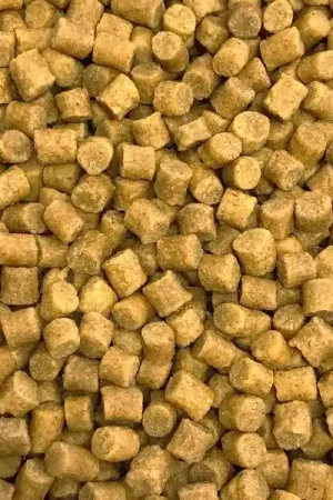Solde Vivani Baits Premium Coarse