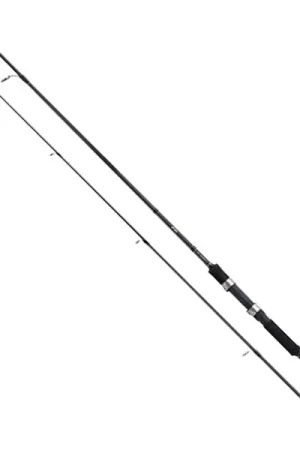 Remise Canne Spinning Shimano FX XT