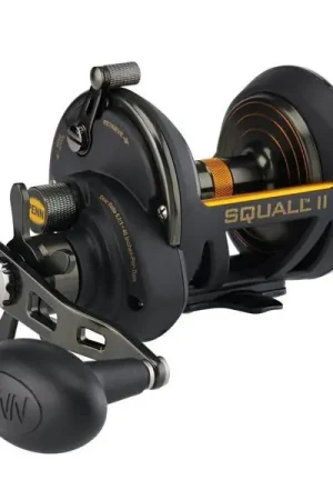 Meilleure Vente Moulinet Casting Penn Squall® II Star Drag RH