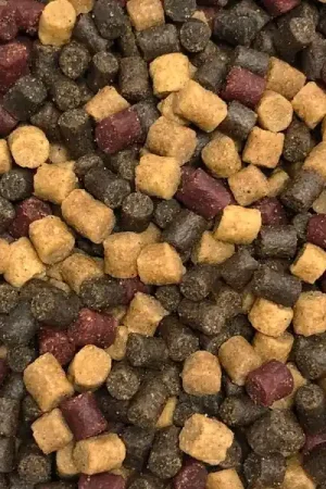 Vivani Baits Ultimate Mix Petit Prix
