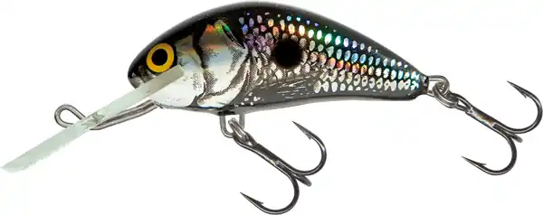 Salmo Hornet 6cm Floating Expédition Rapide