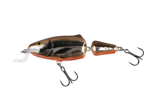 Salmo Frisky Offre Exclusive