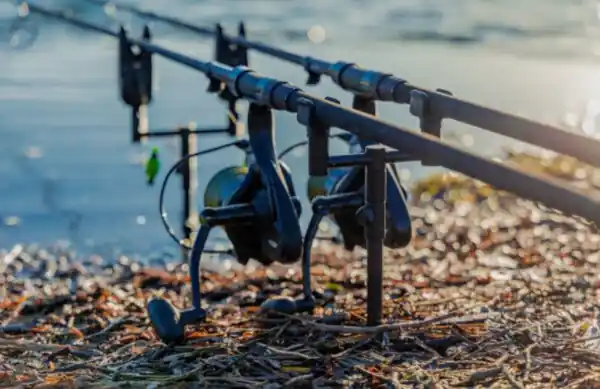 Fox Black Label Slim 2 Rod Buzz Bars Commander Maintenant