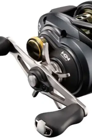 Moulinet Casting Shimano Curado Reel Réduction