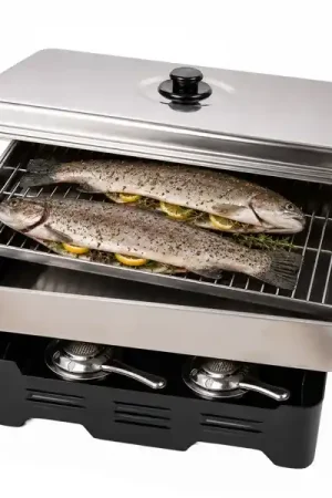 Offre Du Jour Fumoir Ultimate Table Smoker