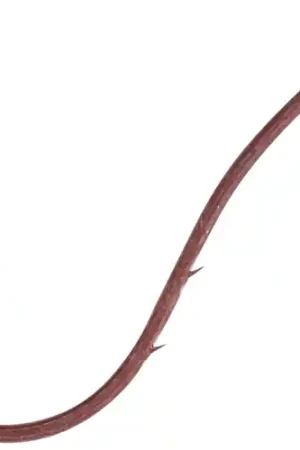 Nouveauté Hameçons Owner Wurmhaken 53118