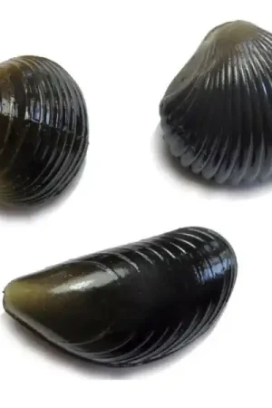 Dernière Chance Behr Imitation Moule Carpe