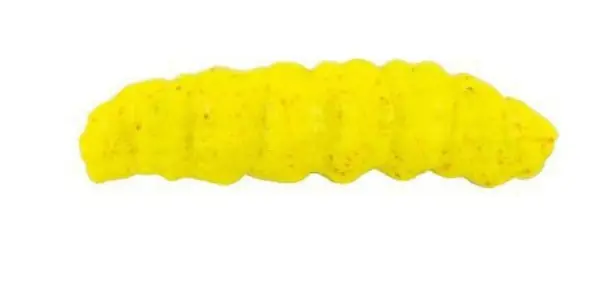 Berkley Gulp! Honey Worm 33mm (18 pcs) Vente Flash