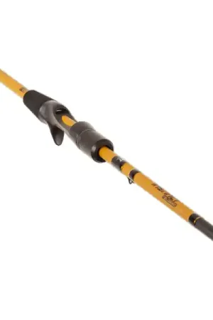 Achetez Aujourd'hui Canne Casting BFT Instinct Reloaded 7'4" Perch Versatile 224cm (7-25g)