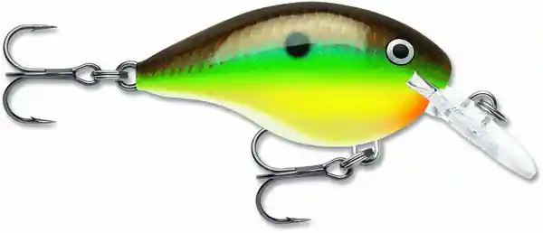 Crankbait Rapala Dives-To Dt08 5cm (12g) Expédié Aujourd'hui