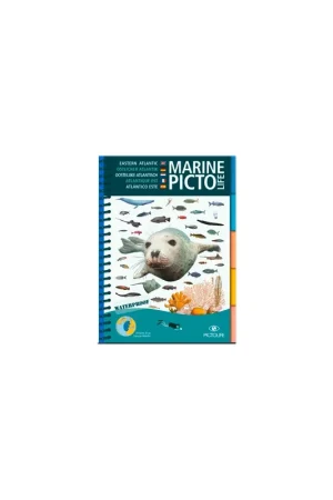 Livraison Express Pictolife Atlantique Est