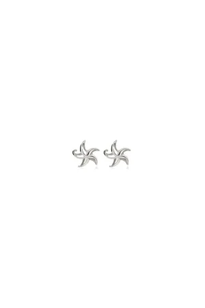Pas Cher Boucles d'oreilles en Argent - Starry Starfish