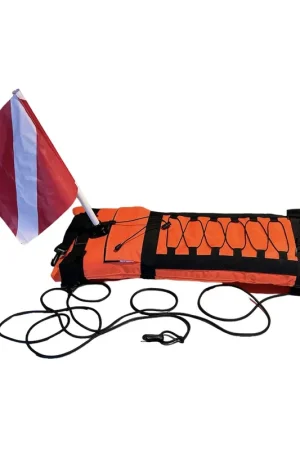 Commander Maintenant Planche Denty Spearfishing double enveloppe
